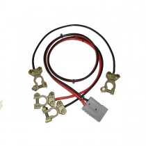 CABO P/ MODULO BATERIA 24V 55CM 0020 RAGTECH