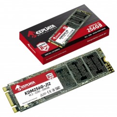 SSD M.2 2280 SATA KEEPDATA 256GB, LEITURA: 500MB/S E GRAVAÇÃO: 320MB/S - KDM256G-J12
